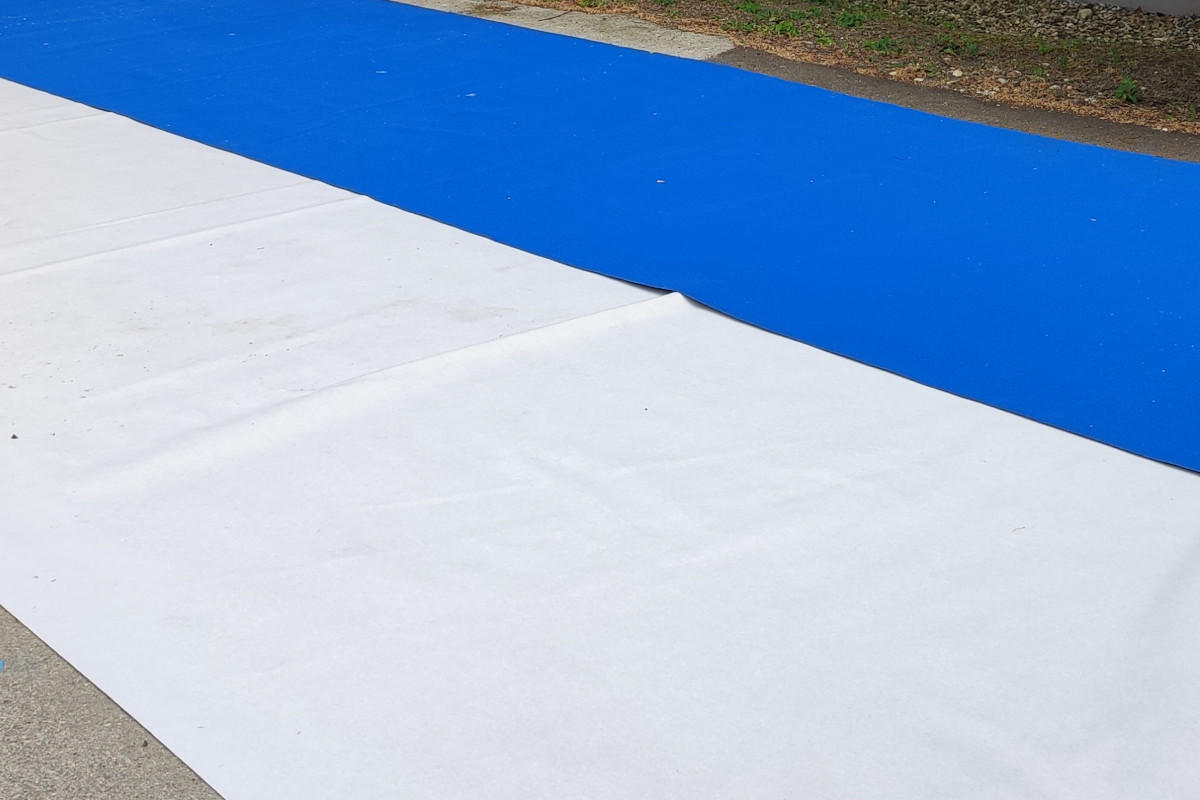 Image of the carpet
